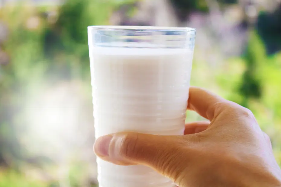 Günde Bir Bardak Süt İçmek İnme Riskini Azaltıyor