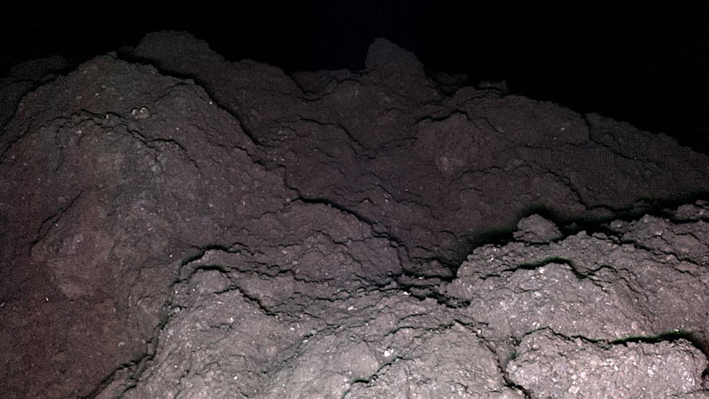 Ryugu Asteroidinde Yaşamın Temel Taşları Bulundu: DNA ve RNA İzleri