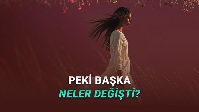 Freepik İsim Değiştirdi: 230 Milyon Dolarlık Şirket Artık Magnific Adıyla Hizmet Verecek