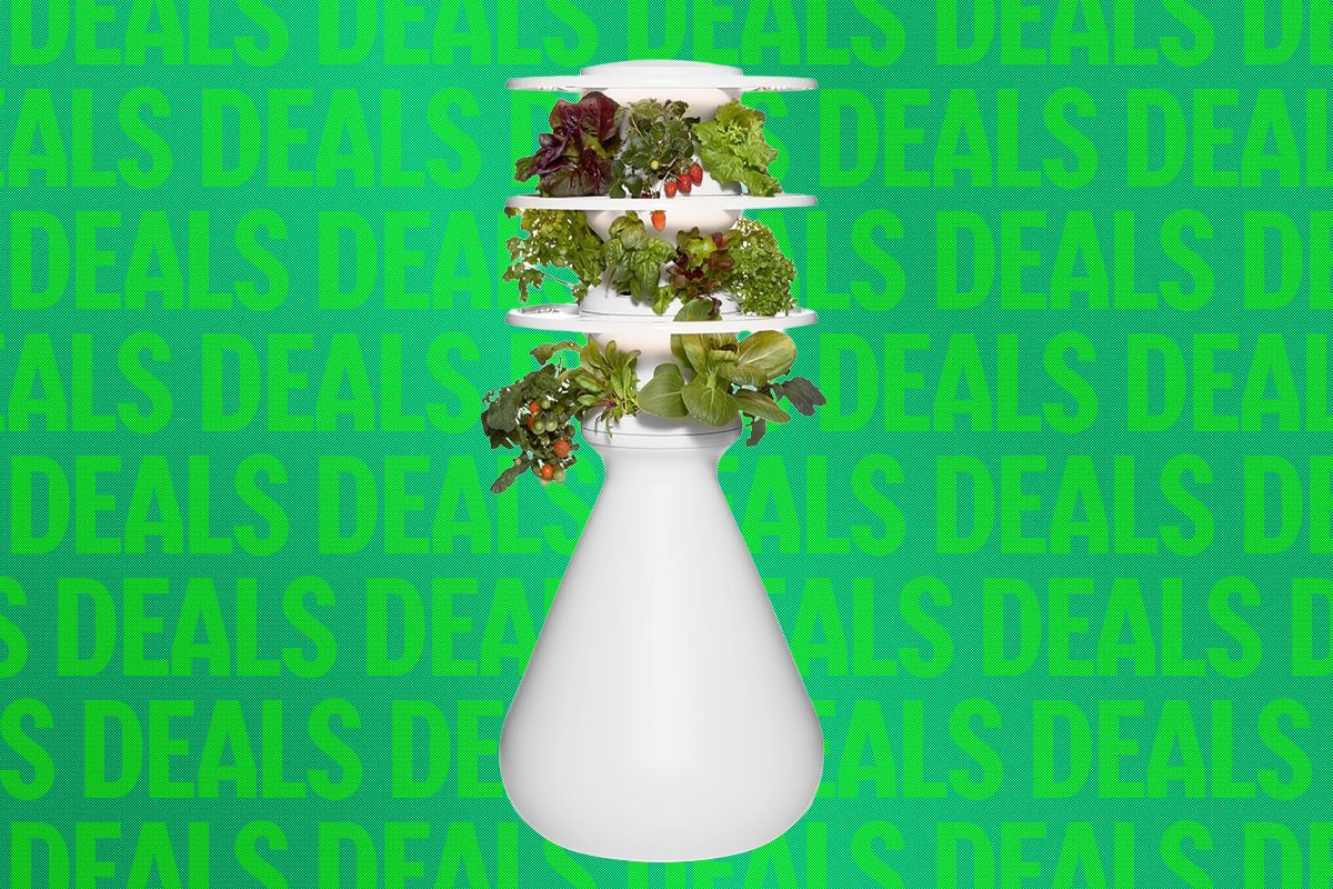Lettuce Grow Kapalı Alan Bahçe Sistemlerinde İndirim Kampanyası