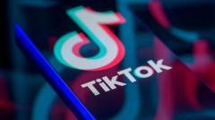 TikTok, Absürt Hatalar Yapan Yapay Zeka Video Özetleme Özelliğini Geri Çekti