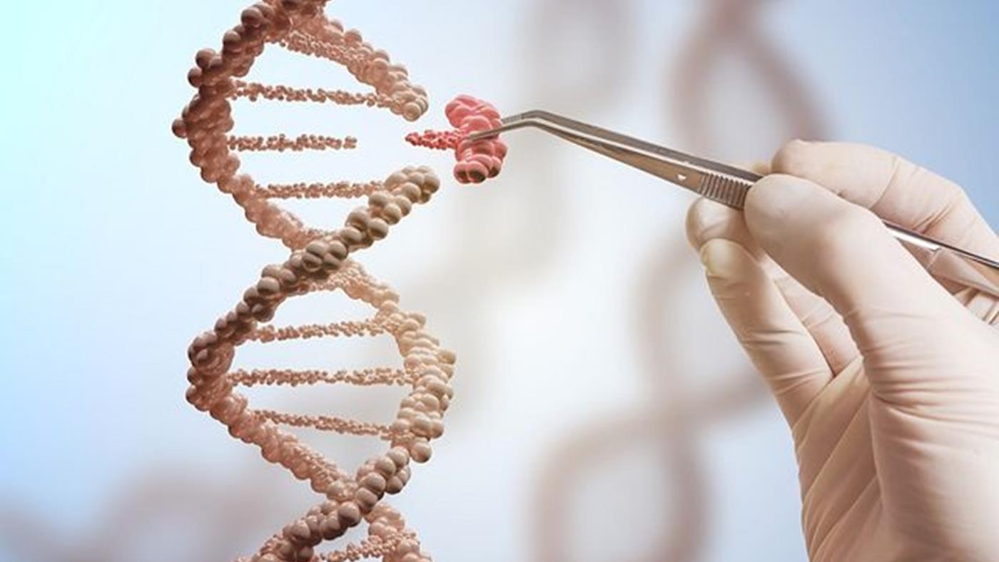 Biyogüvenlikte Yeni Dönem: DNA'yı Kesmeden Çalışan CRISPR "Kill Switch" Sistemi