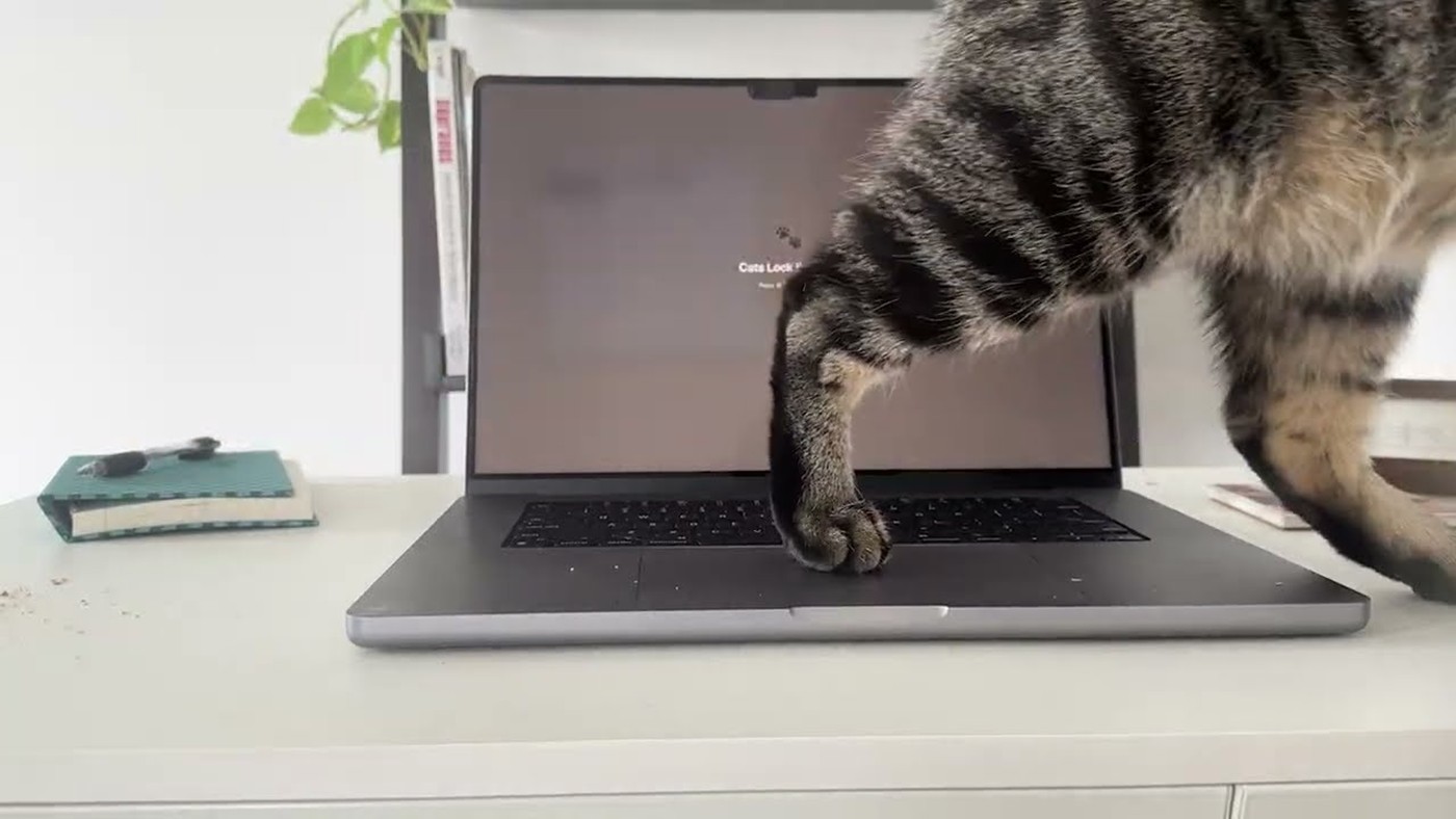Kediniz MacBook Klavyenizi Bozmasın: Cats Lock Uygulaması ile Tanışın