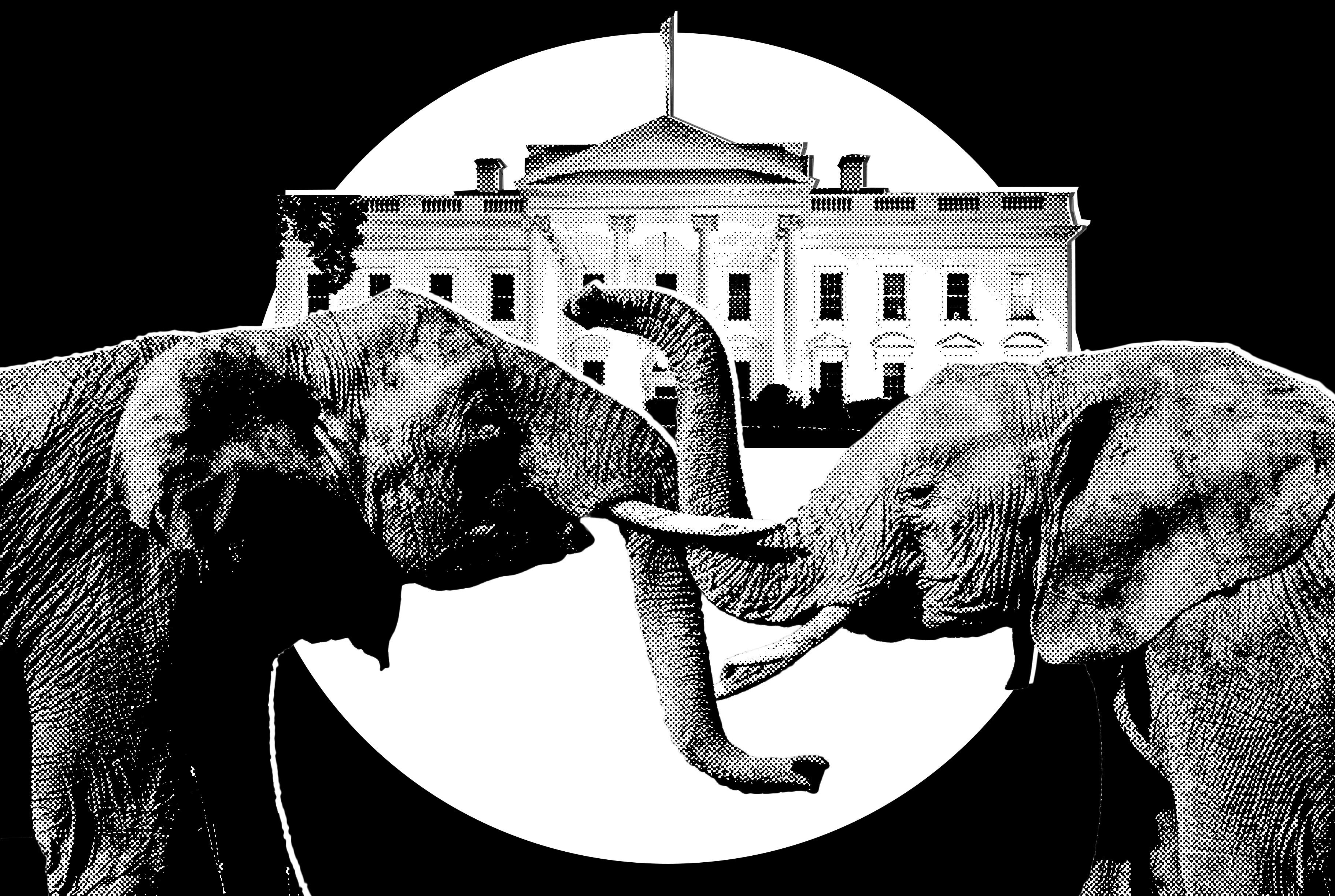 Trump'ın Teksas Ön Seçimlerindeki Sürpriz Hamlesi Senato'yu Karıştırdı