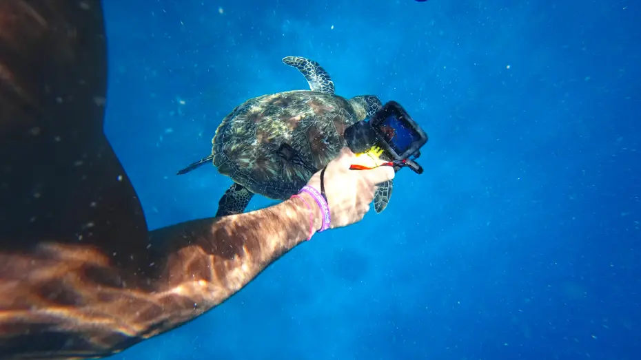 Aksiyon Kamerası Öncüsü GoPro, Çinli Rakiplerine Yenik Düşerek Satışa Hazırlanıyor