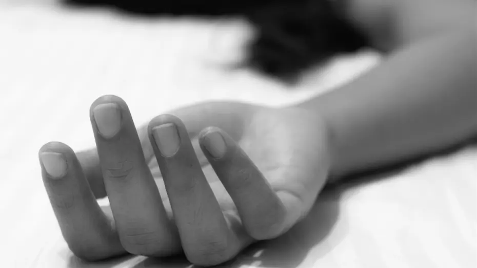 İnternetten Zehir Satarak İntihara Yönlendiren Kanadalı Şef Suçlamaları Kabul Ediyor