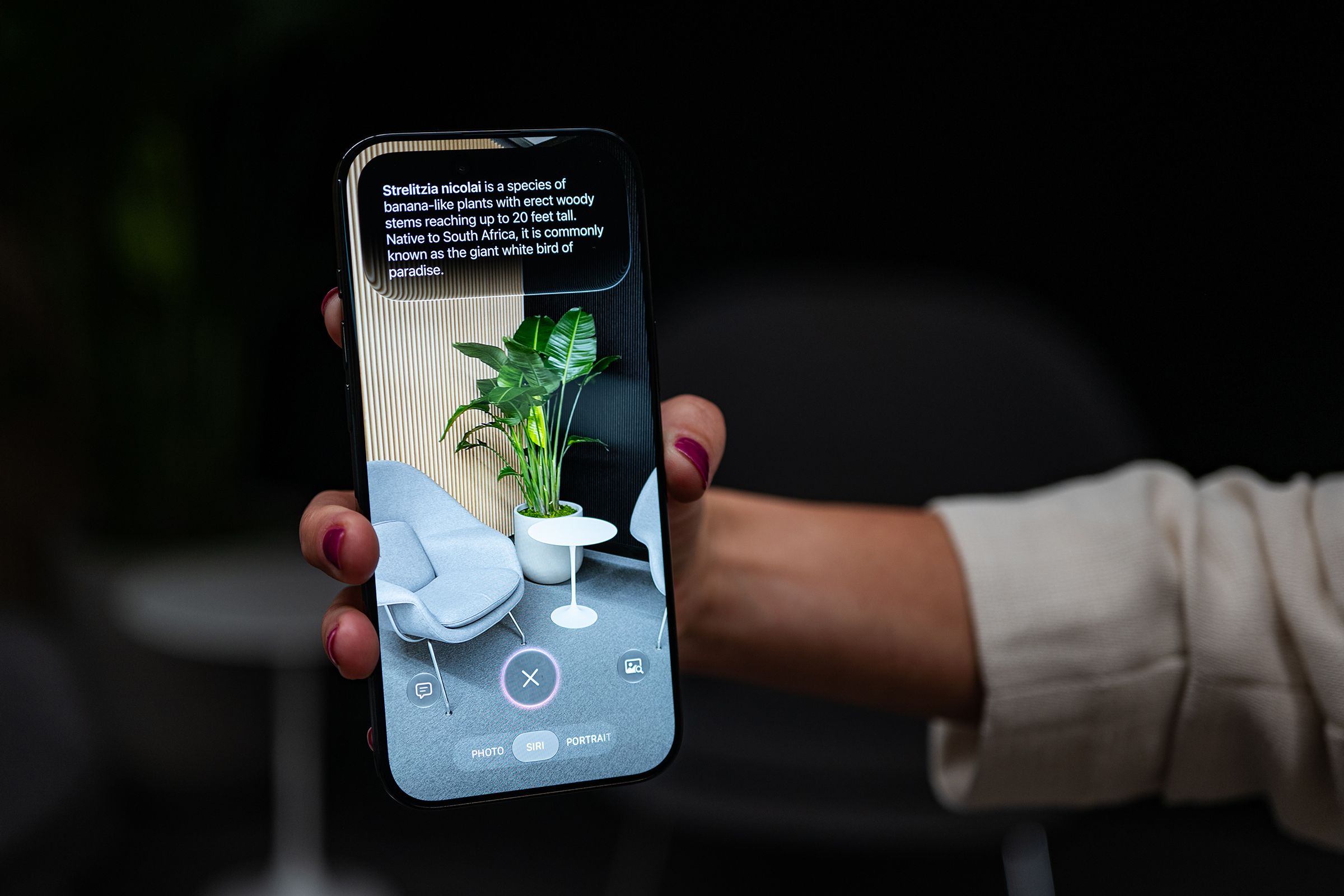 Apple Kamera Yöneticisi: Yapay Zeka Fotoğrafçılıkta Kullanıcılara Süper Güçler Verecek