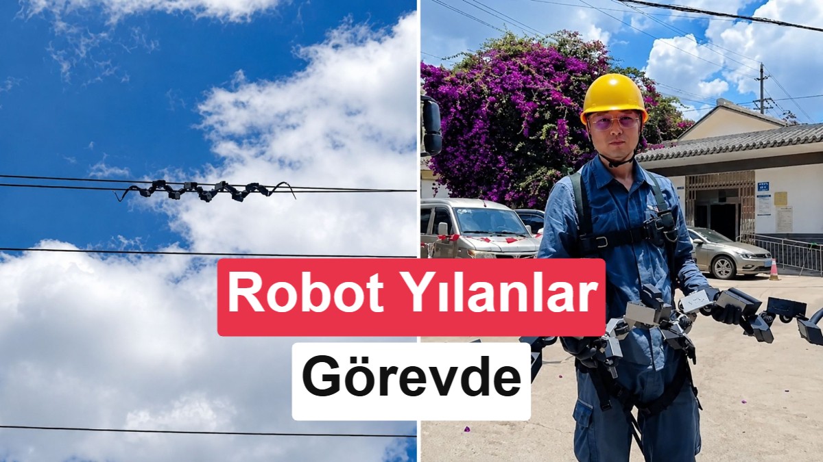 Çin'den Yenilikçi Çözüm: Elektrik Hatlarının Denetimi Robot Yılanlara Emanet