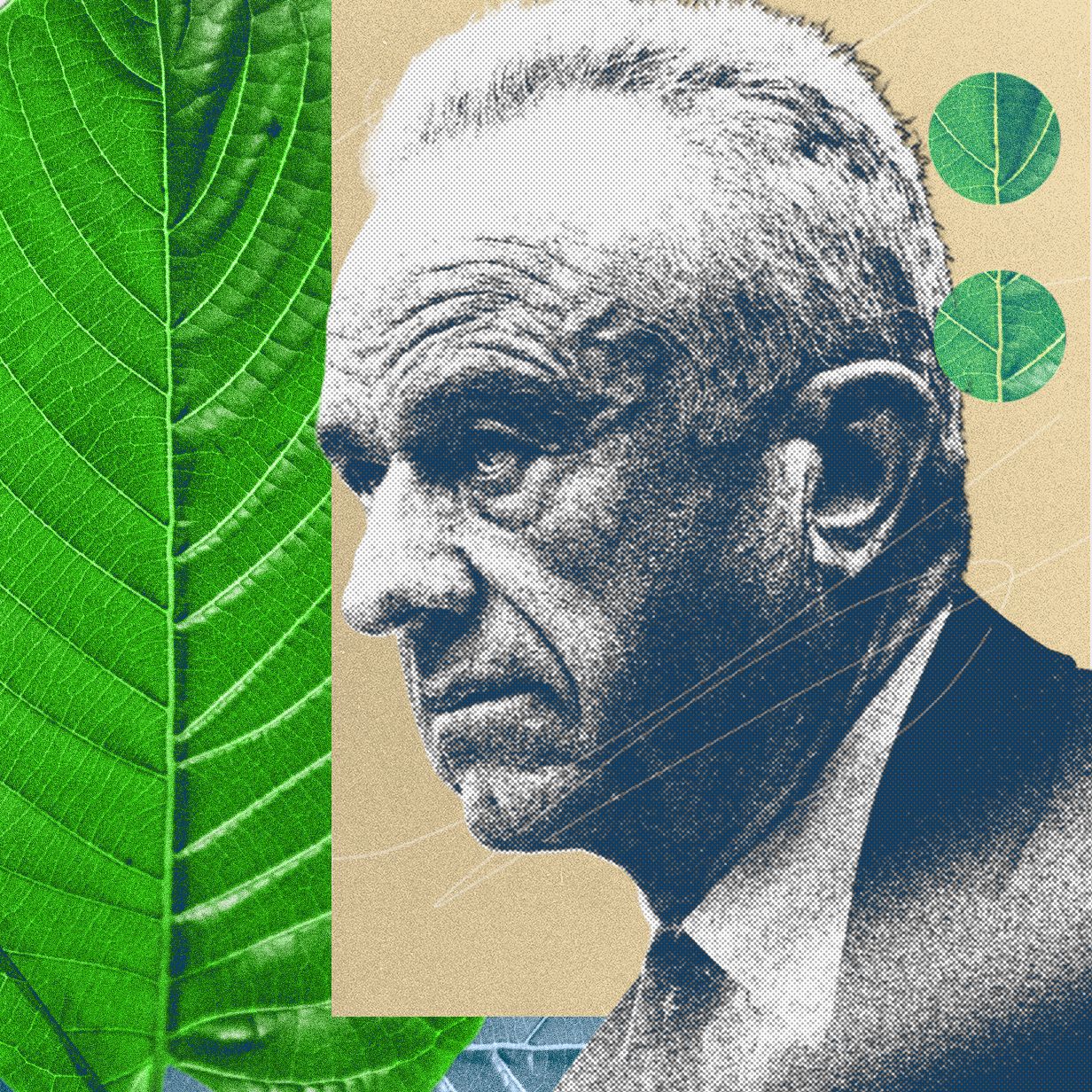 Kratom Sektöründe 7-OH Çatlağı Büyüyor: ABD'de Yasak Tartışmaları