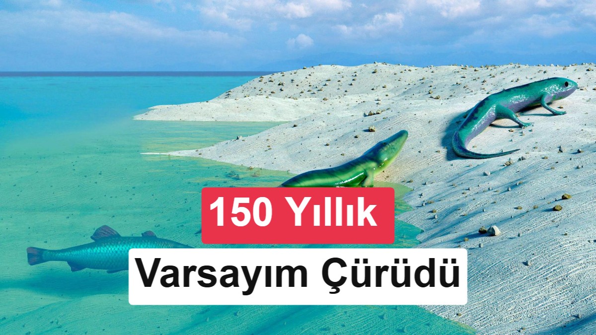 300 Milyon Yıllık Fosiller, Evrim Tarihindeki 150 Yıllık Varsayımı Değiştirdi