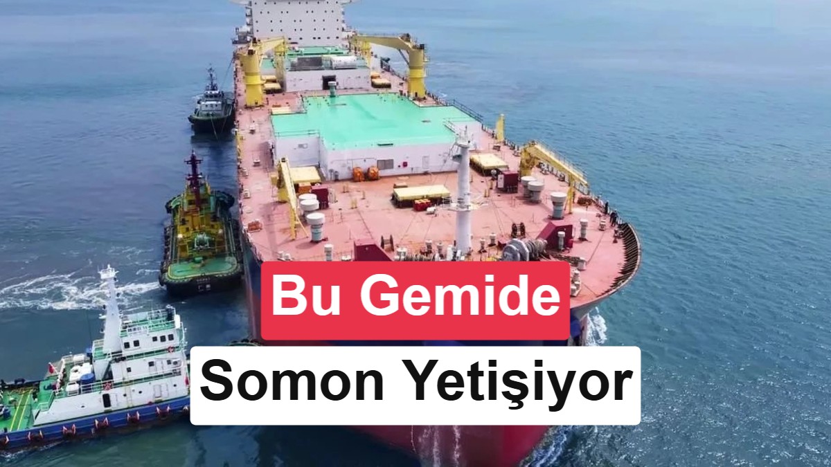 Dünyada Bir İlk: Çin'in 100 Bin Tonluk Akıllı Gemisinde Yetiştirilen Somonlar Satışa Çıktı