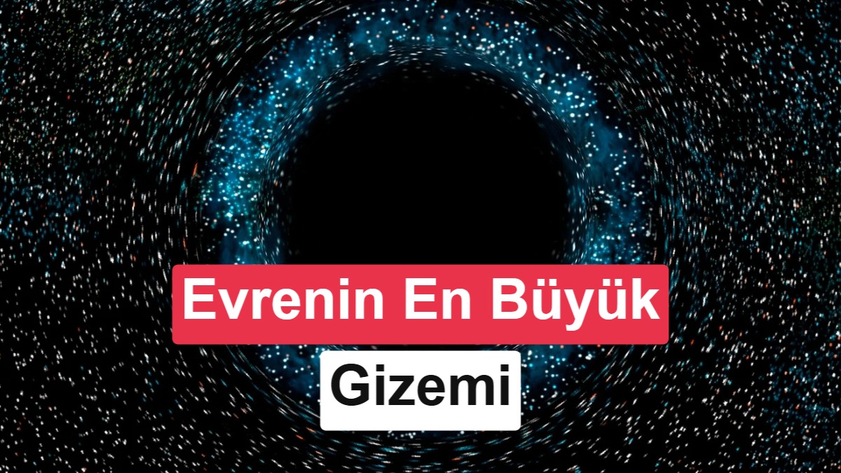 Bilim İnsanları Kara Deliklerin Olay Ufkuna Ait "Parmak İzlerini" İlk Kez Tespit Etti