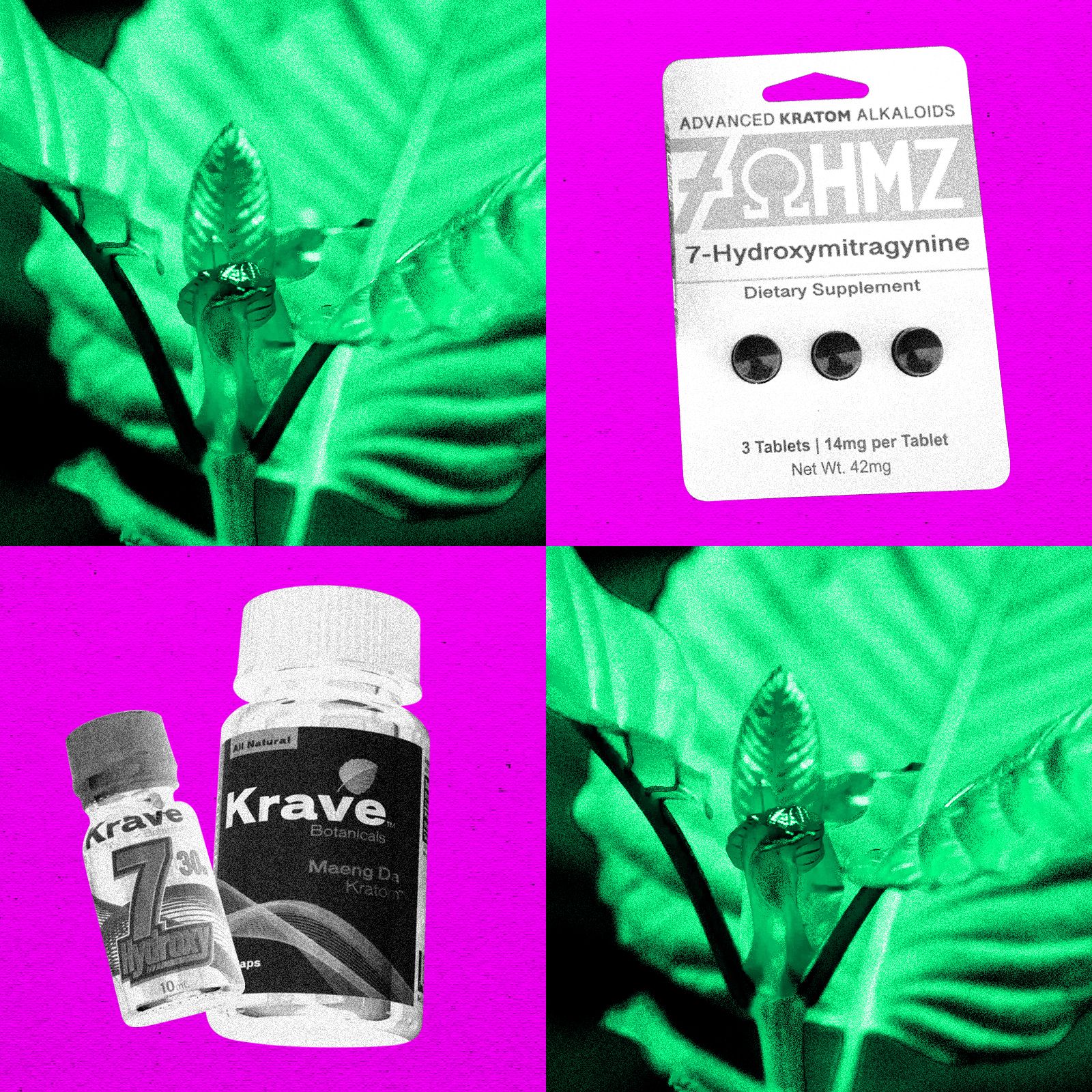 DEA, Opioid Benzeri Kratom Bileşeni 7-OH'yi Yasaklamaya Hazırlanıyor