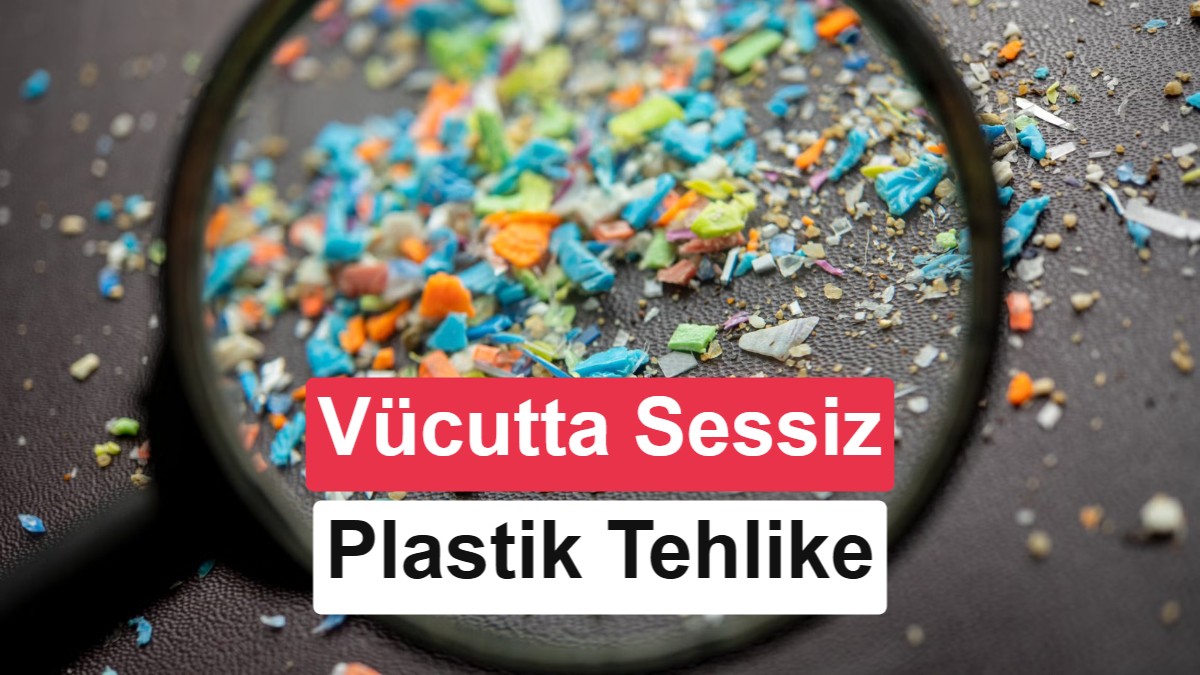 Lazer Teknolojisiyle Mikroplastiklerin Vücuttaki Rotası İlk Kez Görüntülendi