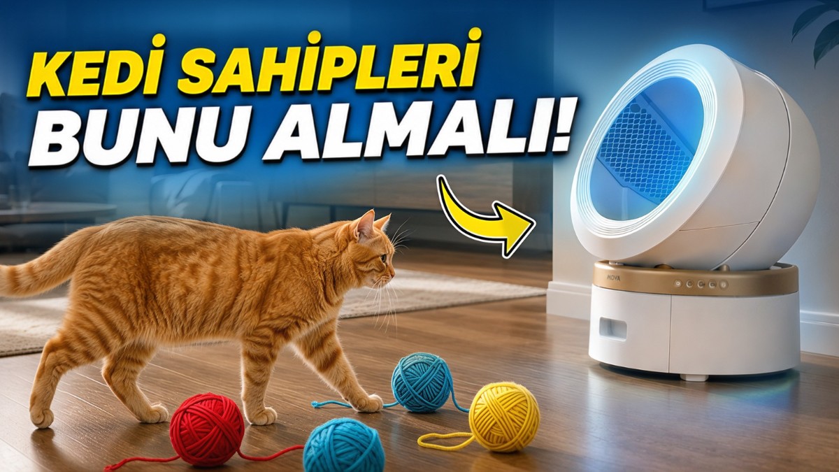 MOVA MeowgicPod LR10 Prime İncelemesi: Yarı Açık Akıllı Kedi Tuvaleti