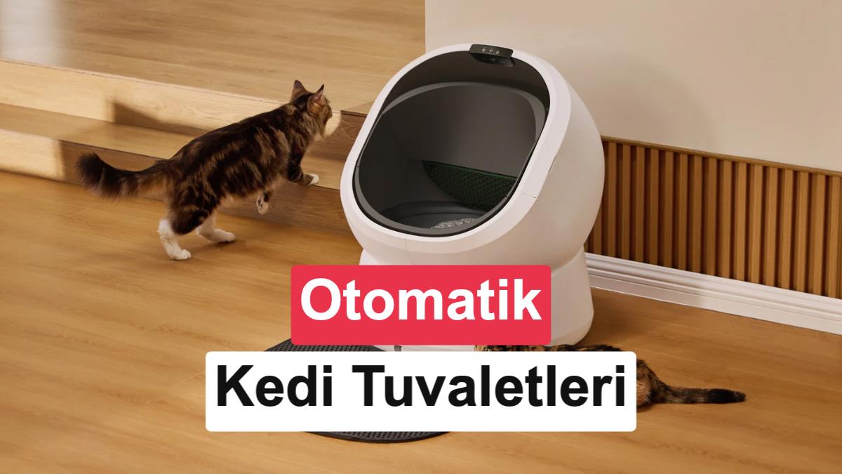 Akıllı Evcil Hayvan Teknolojileri: En İyi Otomatik Kedi Tuvaleti Modelleri