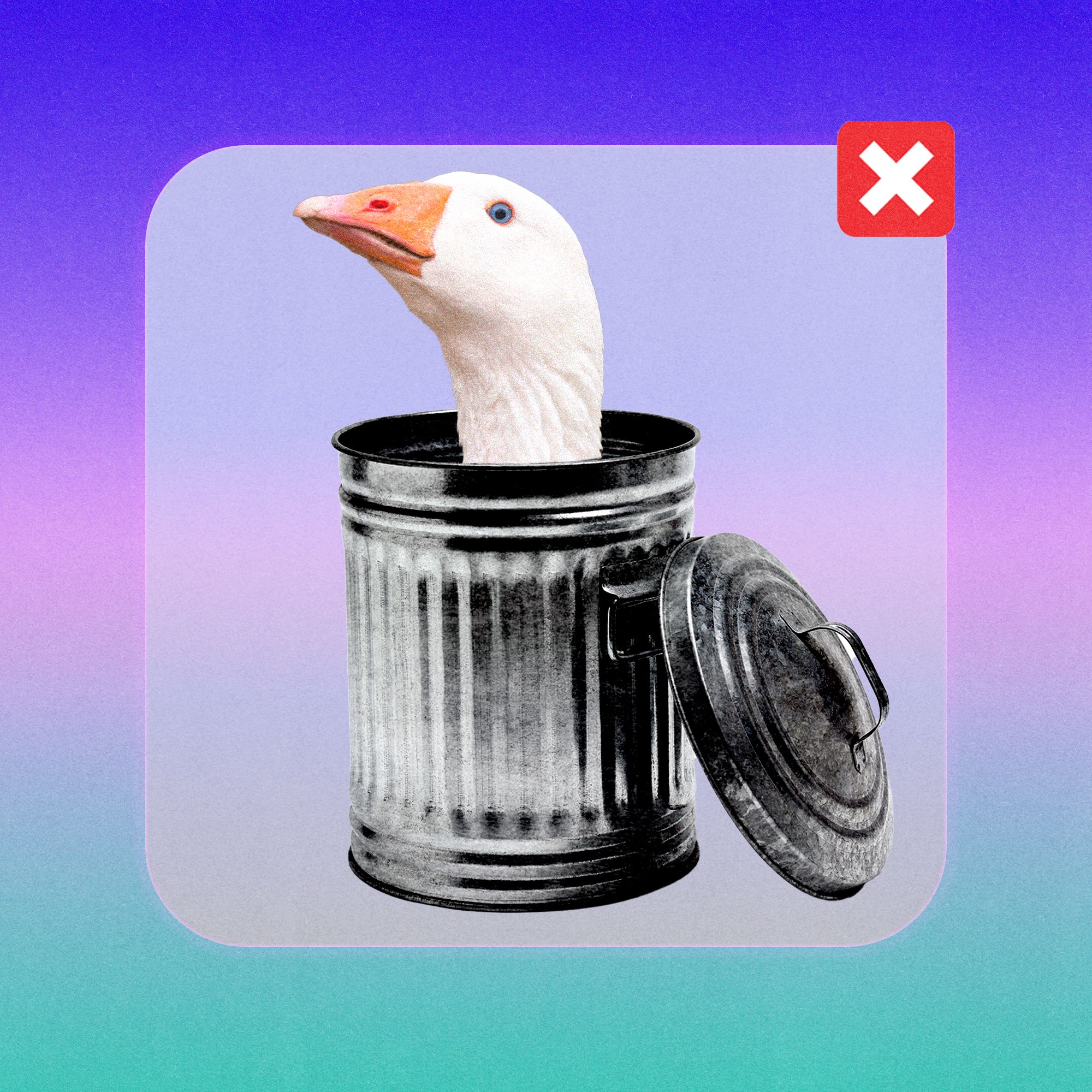 Arkadaşlık Odaklı Goose Uygulamasında Moderasyon ve Kapsayıcılık Krizi