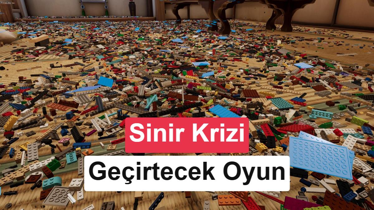 Steam'de Düzen Tutkunlarını Hedefleyen Yeni Simülasyon: Never Sort By Color
