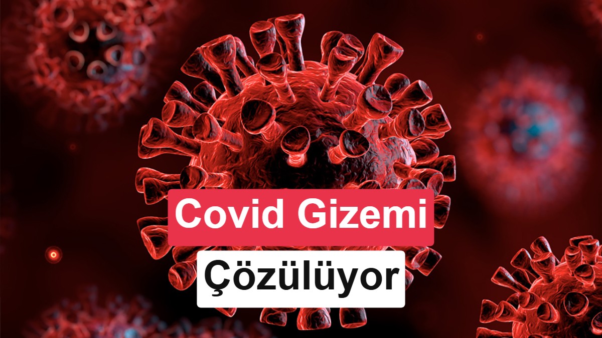 Covid-19'un Neden Bazı İnsanlarda Ağır Geçtiği AlphaFold 3 ile Çözüldü