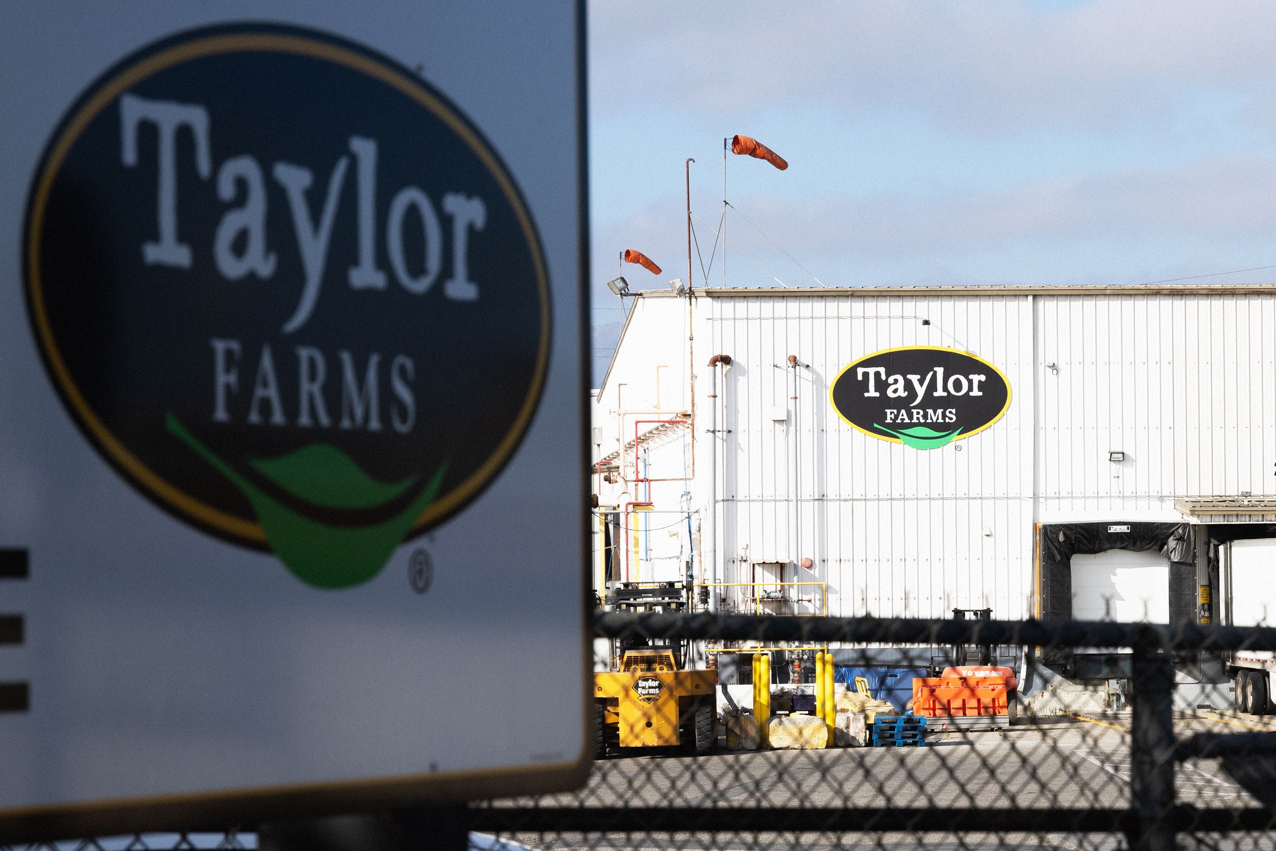 FDA ve Taylor Farms Arasında Salata Krizi: Özür Tartışması Büyüyor