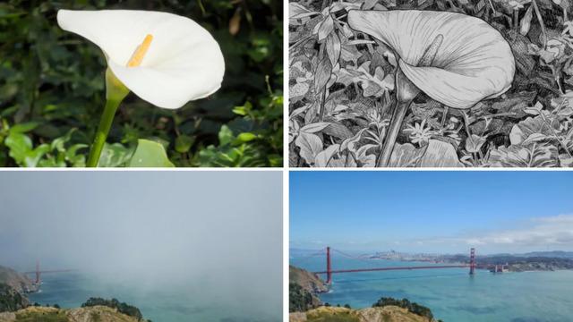 Adobe Project Indigo: Yapay Zeka Destekli Fotoğraf Eleştirisi ve Düzenleme