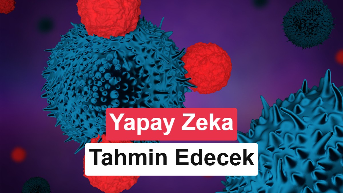 Harvard'ın Yeni Yapay Zeka Modeli COMPASS Kanser Tedavisinde Başarıyı Önceden Tahmin Ediyor