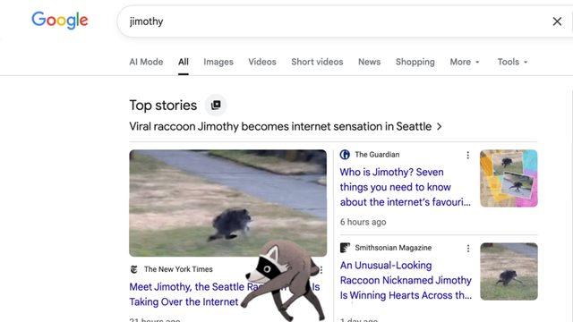 Google'ın Yeni Sürprizi: Ekranda Koşturan Rakun Jimothy'nin Hikayesi
