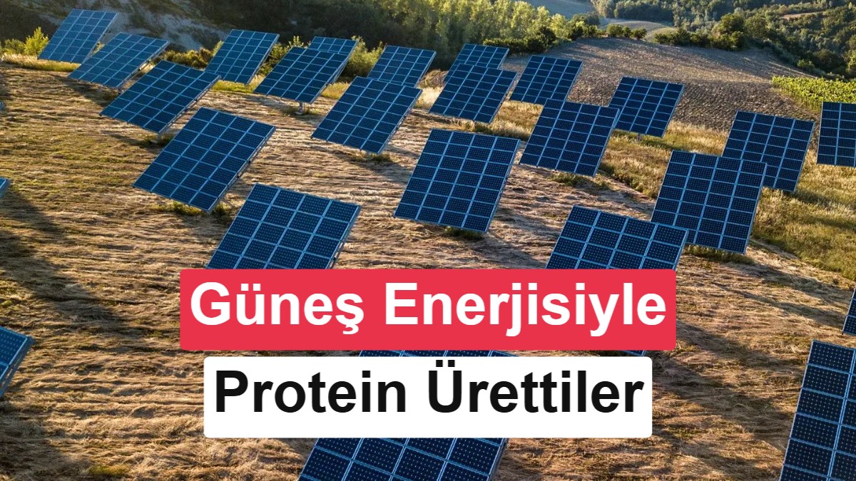Güneş Enerjisi ve CO2 Kullanılarak Amino Asit Üretildi