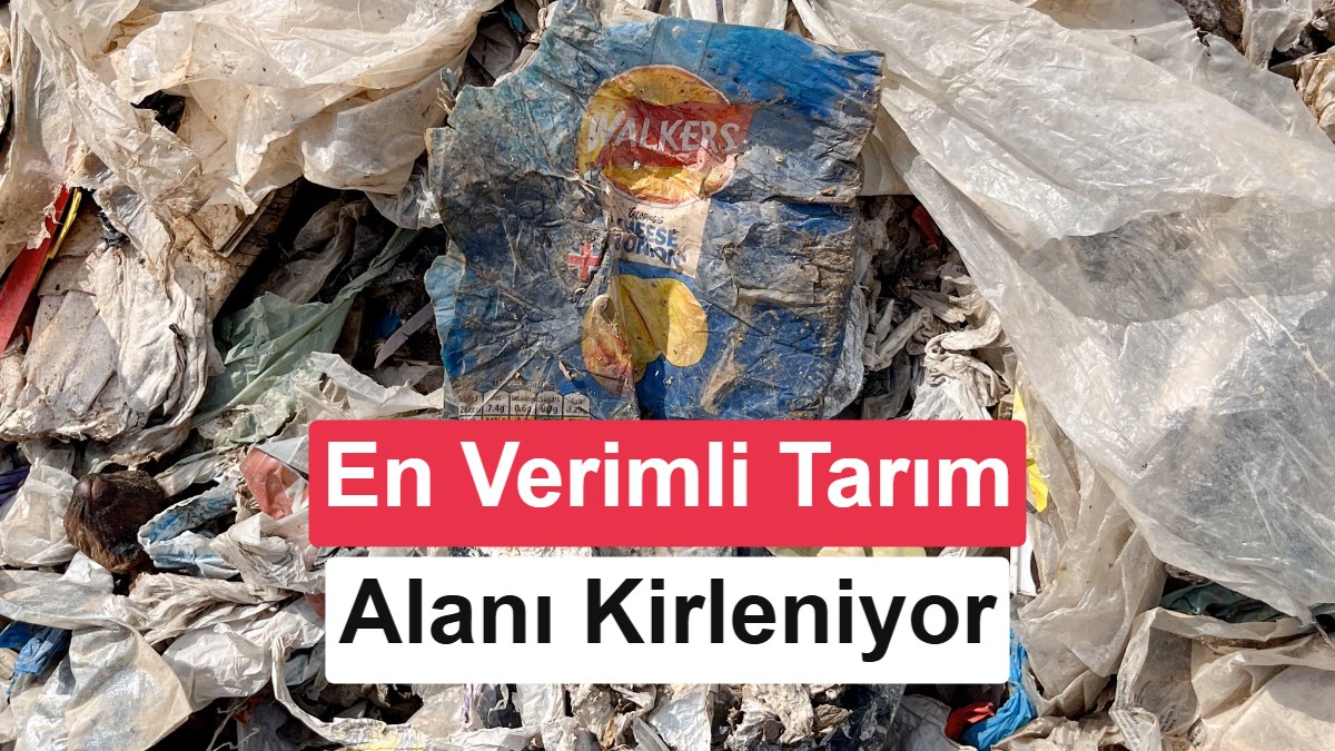 Avrupa'nın Plastik Atıkları Çukurova'nın Verimli Topraklarını Tehdit Ediyor