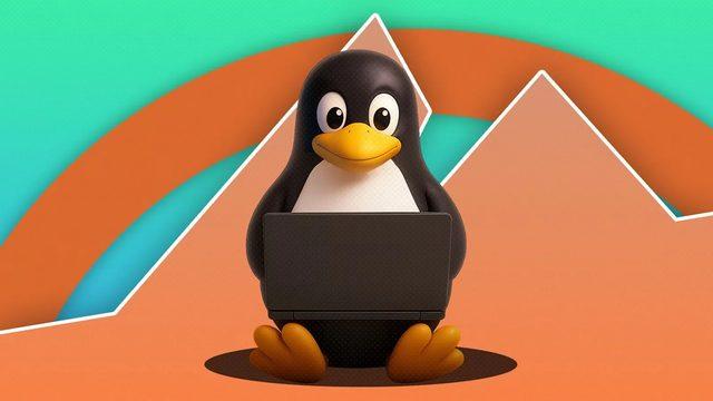 Linux Pazar Payındaki %10'luk Sıçramanın Arkasındaki Gerçek Belli Oldu