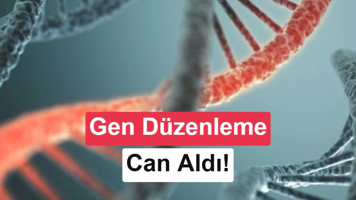 Çin'deki Gen Düzenleme Deneylerinde İki Çocuğun Hayatını Kaybettiği Ortaya Çıktı