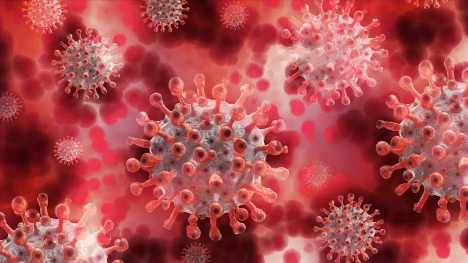 Stanford Araştırmacıları Yapay Zeka Kullanarak İlk Kez Sentetik Virüs Üretti