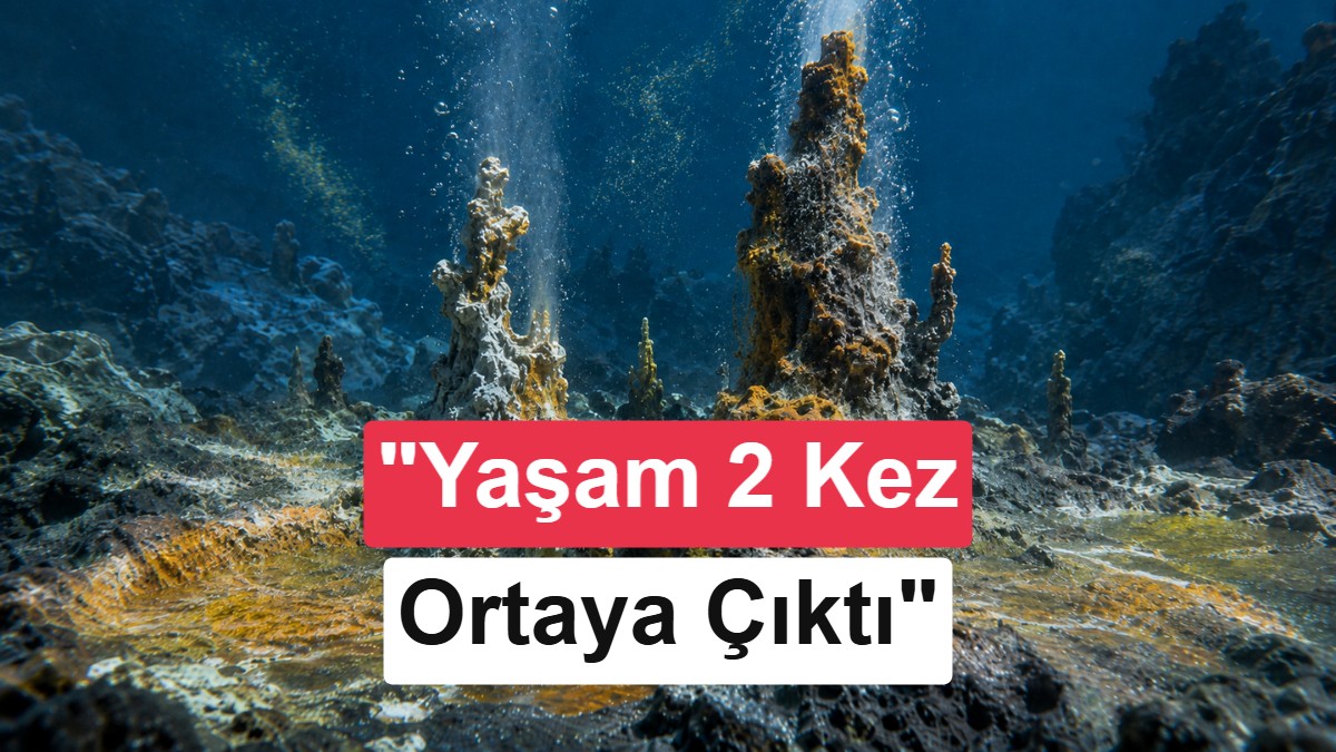 Bilim İnsanlarından Ezber Bozan Keşif: Dünya'da Yaşam İki Kez Ortaya Çıkmış Olabilir