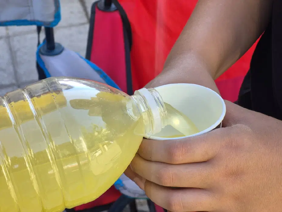 Eskişehirli Minik Girişimciler: Yaz Tatilinde Limonata Satarak Harçlıklarını Çıkarıyorlar