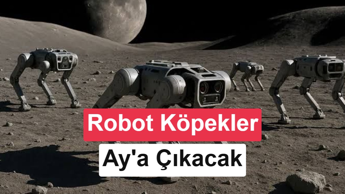 Çin'in Ay Üssünde Astronotlara Robot Köpekler Eşlik Edecek