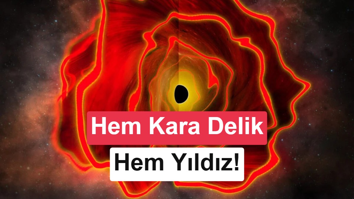James Webb Teleskobu'ndan Tarihi Keşif: Yeni Kozmik Cisim 'Kara Delik Yıldızı' Bulundu