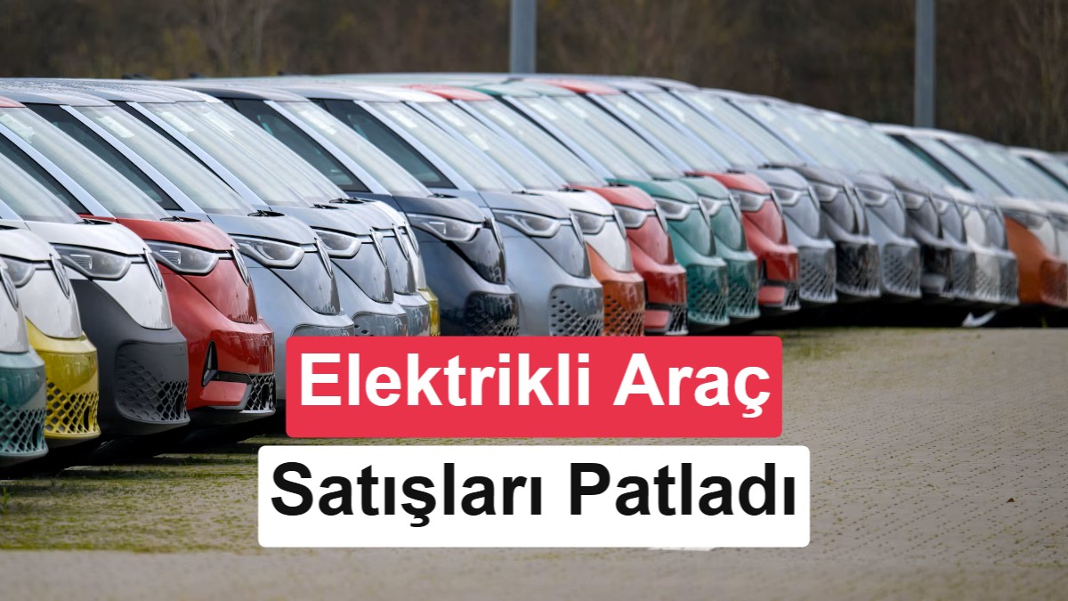 Küresel Elektrikli Araç Satışları 7 Ayda 11,5 Milyona Ulaştı
