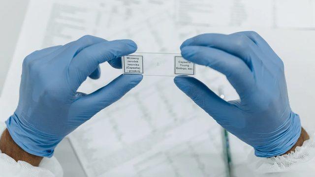Cornell Üniversitesi'nden Geleceğin Popüler Yazılımlarını ve Makalelerini Tahmin Eden Yeni Yöntem
