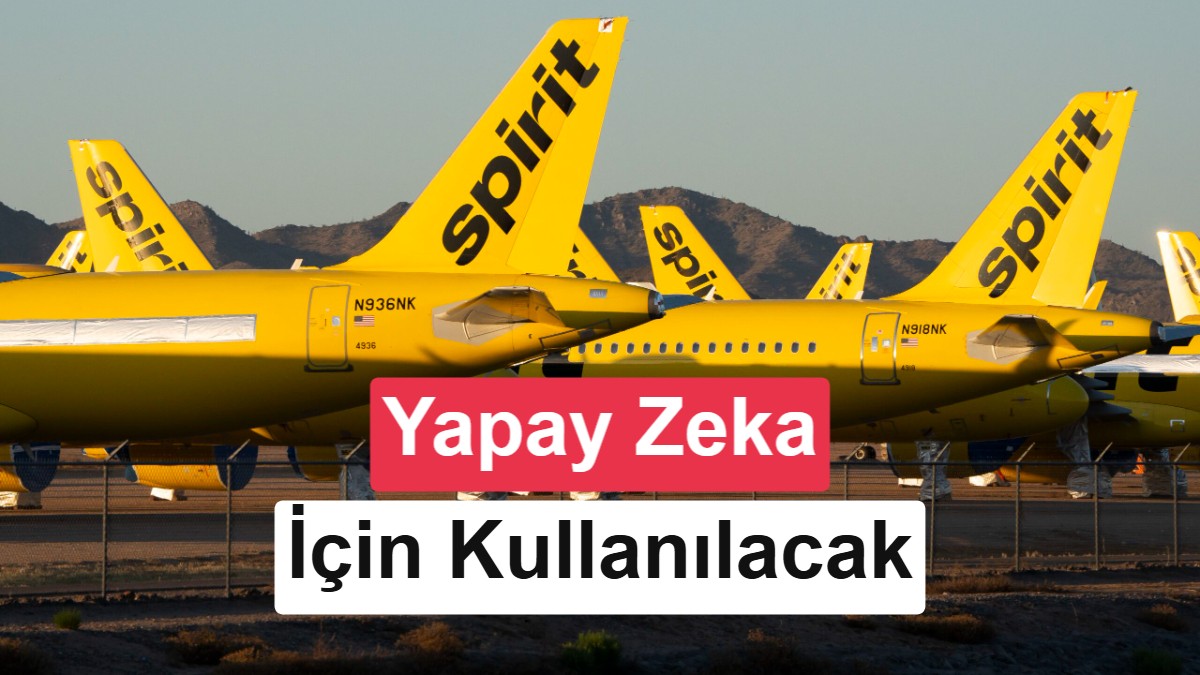 Google, İflas Eden Spirit Airlines'ın Verilerini Yapay Zeka Eğitimi İçin 10 Milyon Dolara Satın Aldı