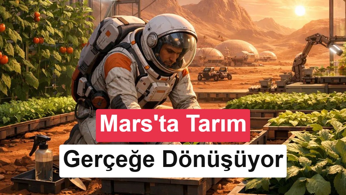 Mars'ta Tarımın Anahtarı: Mantarlar Regoliti Verimli Toprağa Dönüştürebilir