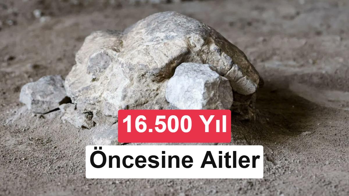 Bilecik'te Tarihi Keşif: 16.500 Yıllık Kaplumbağa Heykelleri Gün Yüzüne Çıktı