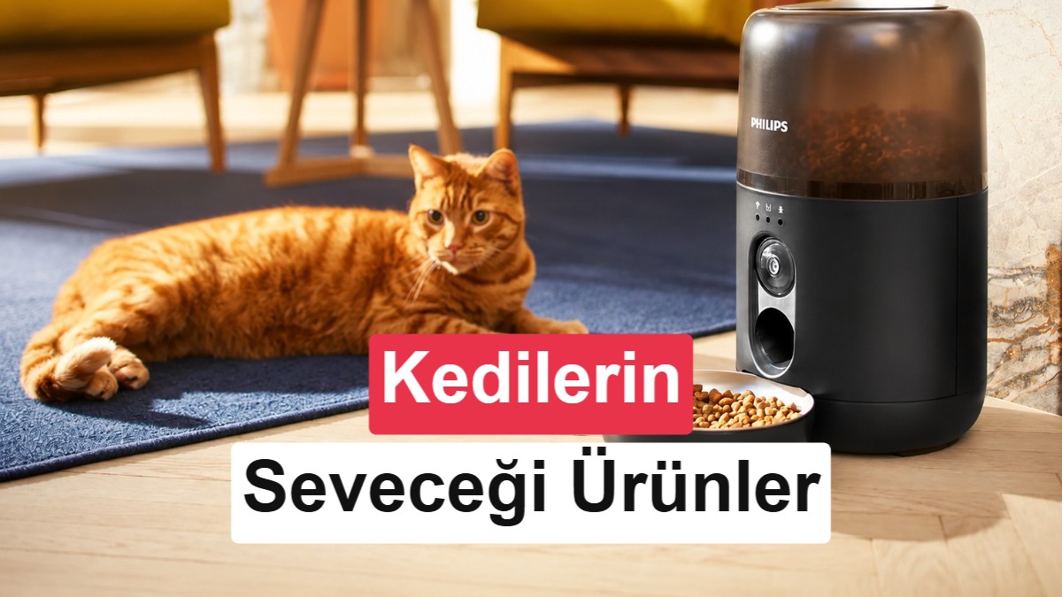Philips'ten Evcil Hayvanlar İçin Akıllı Su Pınarı ve Kameralı Mama Kabı