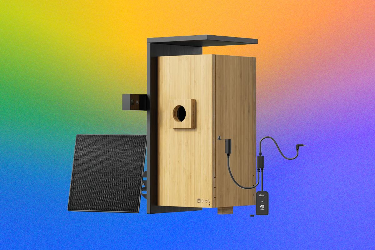 Birdfy Nest Duo İncelemesi: Arka Bahçenizdeki Dijital Doğa Belgeseli