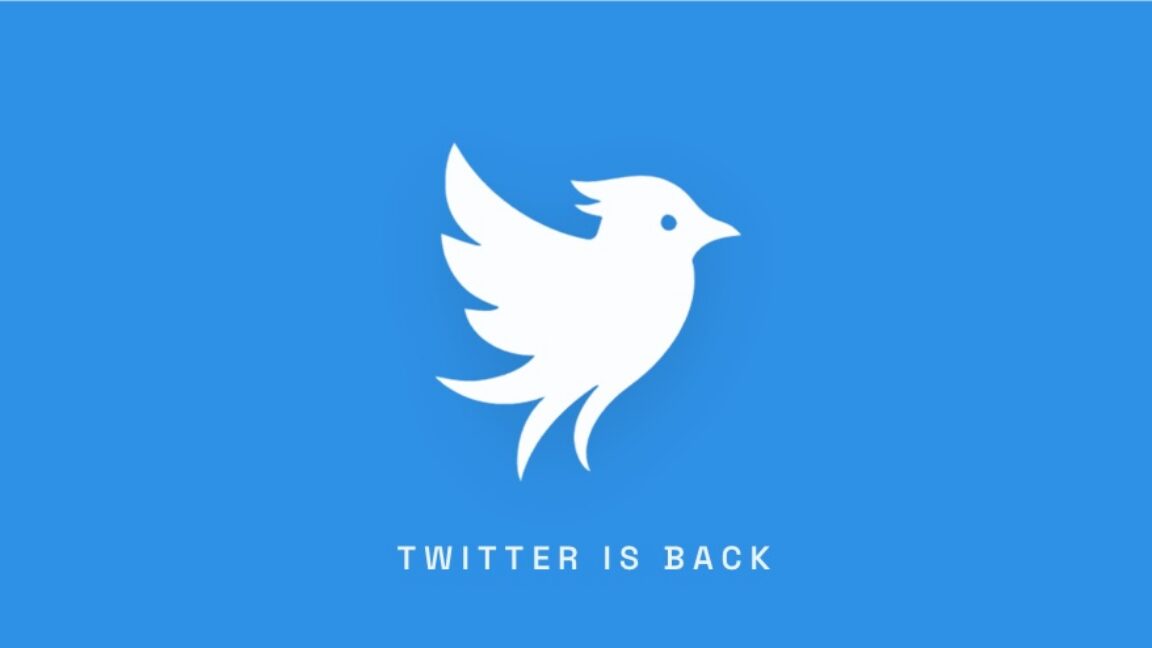 Yeni Twitter Yayında: Girişimciler Musk'ın İsim Hakkından Vazgeçtiğini İddia Ediyor