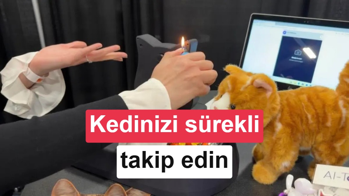 Yapay Zeka Destekli Akıllı Mama Kabı AI-Tails: Evcil Hayvanların Sağlığını Takip Ediyor