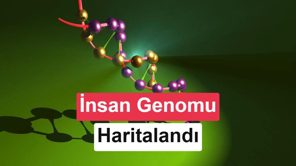 Google DeepMind, Yapay Zeka ile İnsan Genomundaki 9 Milyar Mutasyonu Haritaladı