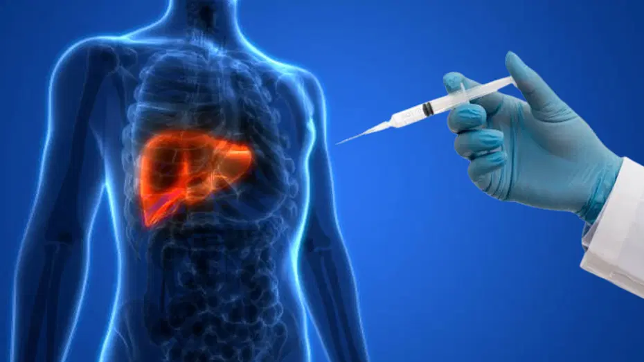 Organ Naklinde Yeni Dönem: MIT'den Enjekte Edilebilir "Mini Karaciğer" Teknolojisi